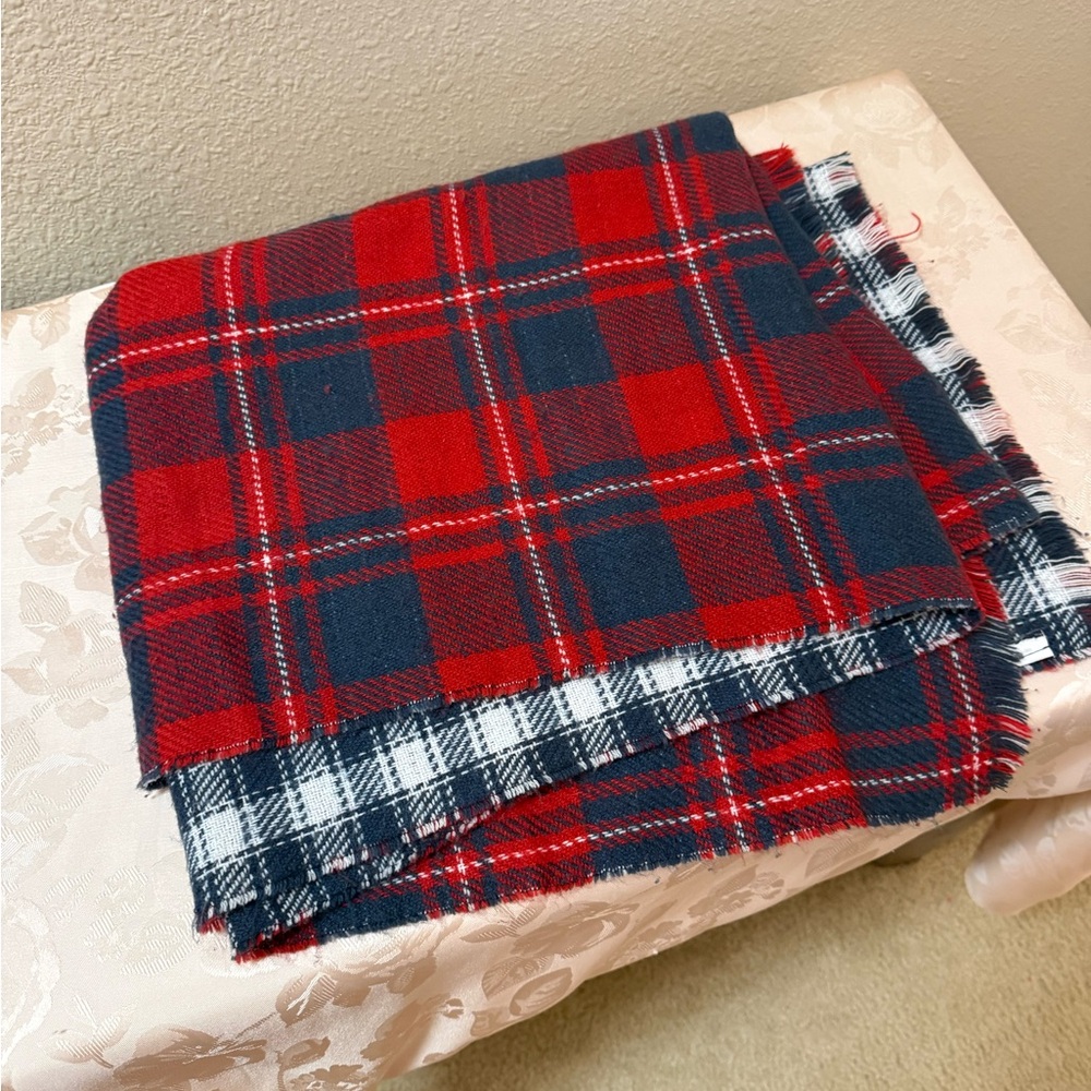 Abercrombie & Fitch Red and Blue Plaid Scarf